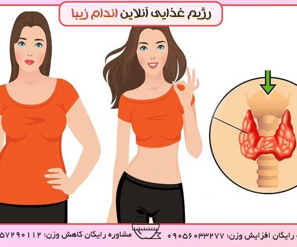 غده تیرویید و تاثیر آن بر لاغری و چاقی بدن